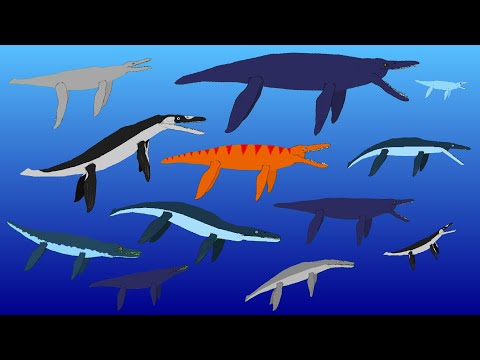 Sea Monsters - Pliosaurs - Animated Size Comparison - (Extinct Marine Reptiles)