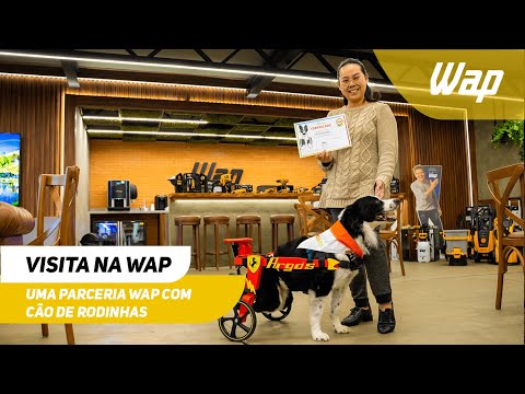 WAP e Cão de Rodinhas: uma parceria de amor e cuidado