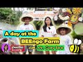 A day at the beengo farm