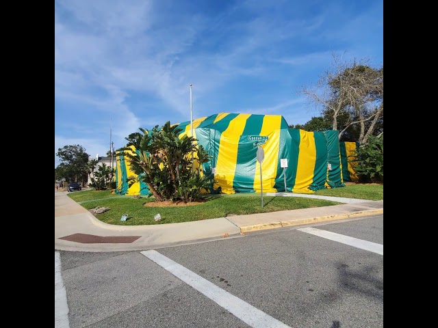 How to Protect Your Home from Drywood and Subterranean Termites