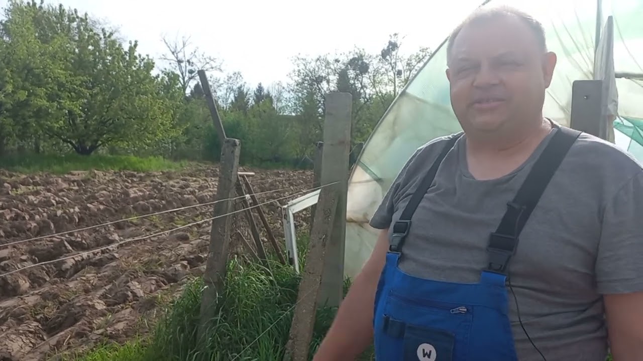 Zotyukert 31. - Feléledt a Lamborghini