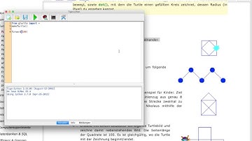 Turtle bewegen Übung 1