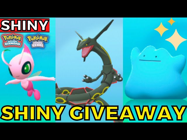 How To Find And Hatch Shinies In Pokemon BDSP - Foto 7