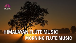 Morning Flute Music | Himalayan Flute Music | Relaxing Music | (बाँसुरी) Aparmita Ep. 92