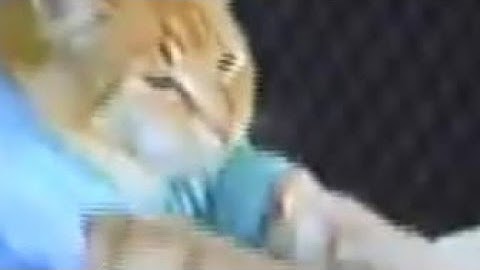 [FNF/DC2] RON REMIX PART FOR ADAM PRODUCTIONS DC2