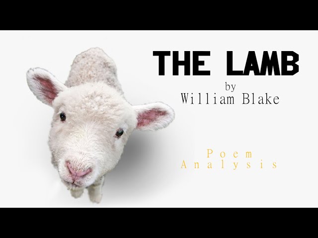 The Lamb (poem) - Wikipedia