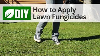 How to Use Lawn Fungicides For A Lawn Fungus Treatment