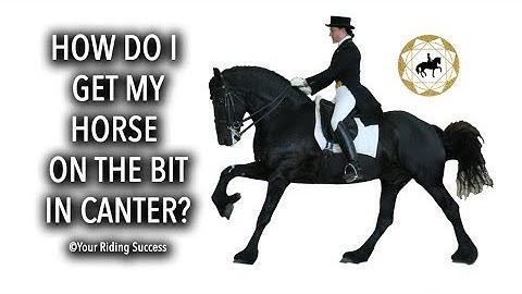HOW DO I GET MY HORSE ON THE BIT IN CANTER? - Dressage Mastery TV Episode 210