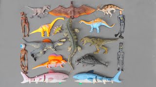Hunting found Jurassic world ev2 : Ankylosaurus, T-Rex, Spinosaurus,Shark