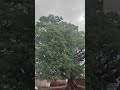 Tez barish hawayein #bollywood #music #song #funny #love #comedyfilms