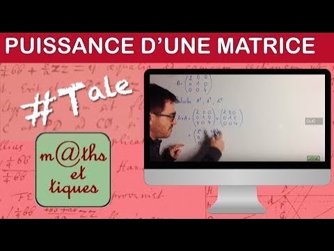 Vidéo: Comment élever Une Matrice à Une Puissance