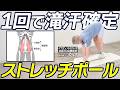 【上級者向け】ストレッチポールで体幹・お尻・内転筋にめっちゃ効く本気のエクササイズ【ピラティス】