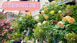 如何簡易DIY搭架拱門打造歐式玫瑰花園（盆植亦可）｜打造 ... 