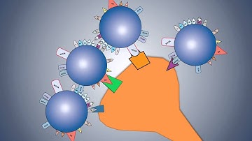 The Pines, the Dones, Two Pips and a Rip