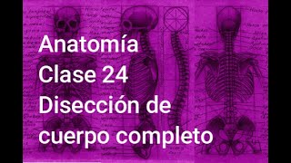 Anatomía Clase 24 - Disección de cuerpo