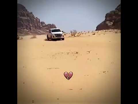 سيارات الصحراء ان هنا وراح