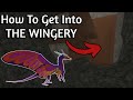 Wings Of Fire Roblox ~How To Get Into THE WINGERY (Patched... I think)