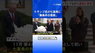 【七面鳥に恩赦】トランプ大統領　 感謝祭の“罪滅ぼし”としてホワイトハウスで恒例行事｜TBS NEWS DIG #shorts