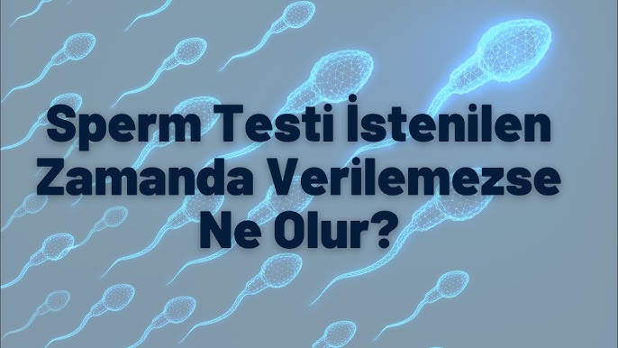 Yalangoch rus qizlari dam olishmoqda Eshakdagi odamni sikish