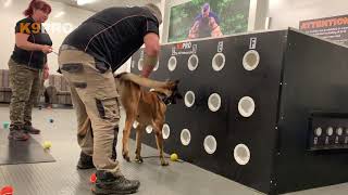 Scent detection training