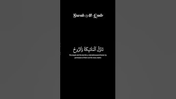 إِنَّا أَنزَلْنَاهُ فِي لَيْلَةِ الْقَدْرِ #سورة_القدر #علاء_عقل