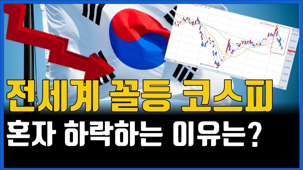 2024년 한국 주식만 하락하는 이유와 반등 시그널 힌트는?