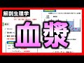 【解剖生理学（循環器系）】血漿：リメイクver.