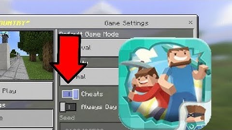 HOW TO ENABLE CHEAT IN BLOCKMAN MULTIPLAYER