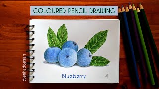 BLUEBERRY COLOURED PENCIL DRAWING | Drawing & Colouring | Draw With Me