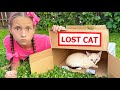 The kitten is lost! Sofia is building a playhouse for a pet