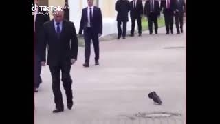 голубь отдал честь Путину