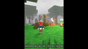 😂 roblox hacker