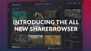 Introducing The All New ShareBrowser Media Asset Manager for EVO Video Editing Servers