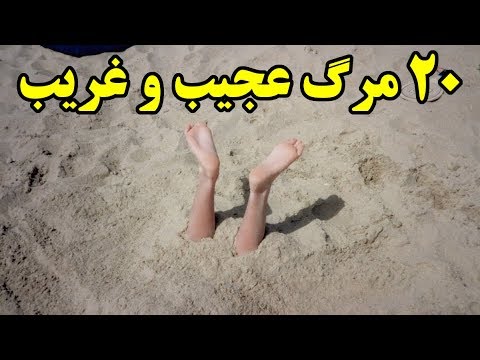 تصویری: فهرست روچیلد مراقب دست هایت باش