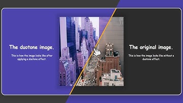 Build Split Screen Landing Page UI Design Using HTML CSS And JS