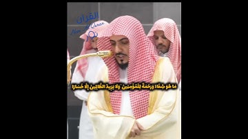 تلاوة إبداعية وسكينة {مَا هُوَ شِفَاءٌ} 🎧 الشيخ وليد الشمسان 🌿🌹