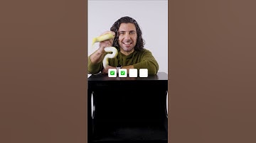 What’s In The Season 4 Box?