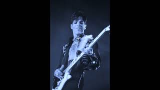 Prince - &quot;Hide The Bone&quot; (live Paisley Park 1995)
