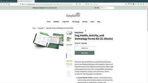 Shopify Basics: How to create a discount code for customers (2020)