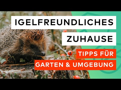 So machst du