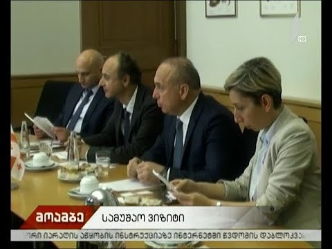 სამუშაო ვიზიტი
