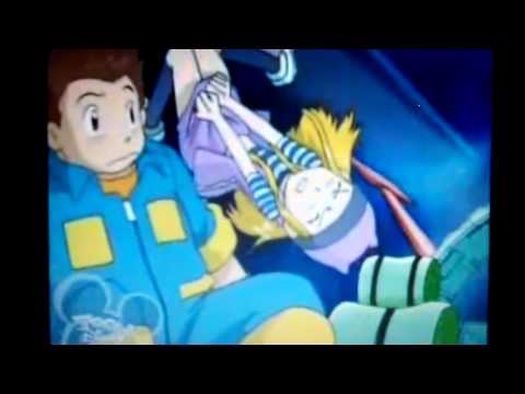 Digimon Frontier- Zoe's Skirt