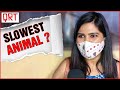 Which is the SLOWEST ANIMAL in the World ? | GK Quiz on Animals | Funny IQ Test |Quick Reaction Team