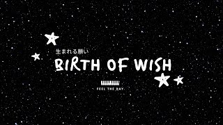 Birth of A Wish (Umareru Negai 生まれる願い) Cover - Fruit Basket