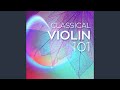 Miniature de la vidéo de la chanson Violin Concerto In D Minor, Op. 47: Iii. Allegro, Ma Non Tanto