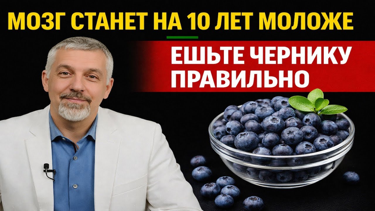 Ягода для гениев  что черника делает с вашим мозгом и зрением  Вся правда о суперфуде №1