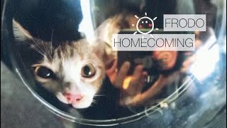 Mr. Frodo first Homecoming for Tet Holiday by Mr Frodo 316 views 3 years ago 44 seconds