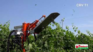 Cimatrice a coltelli per vigneto CRV T1 L - Rinieri