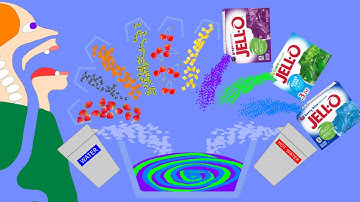 【Algodoo】Toilet while eating JELL-O.　フルーツゼリーを食べながらトイレをする人