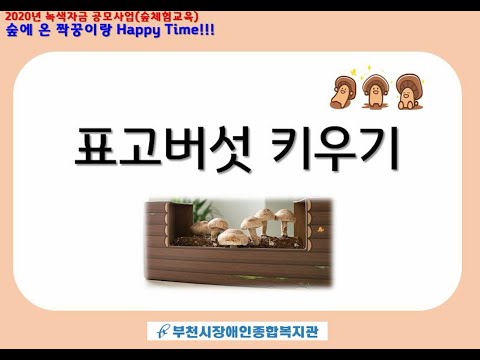 [2020년 녹색자금 공모사업] 숲에 온 짝꿍이랑 Happy time - 표고버섯 키우기